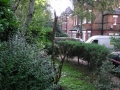p1010296_o487u181