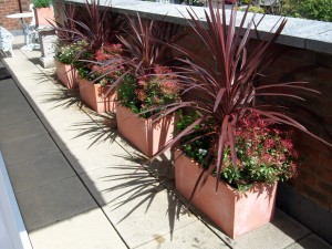 Balcony pots and plants